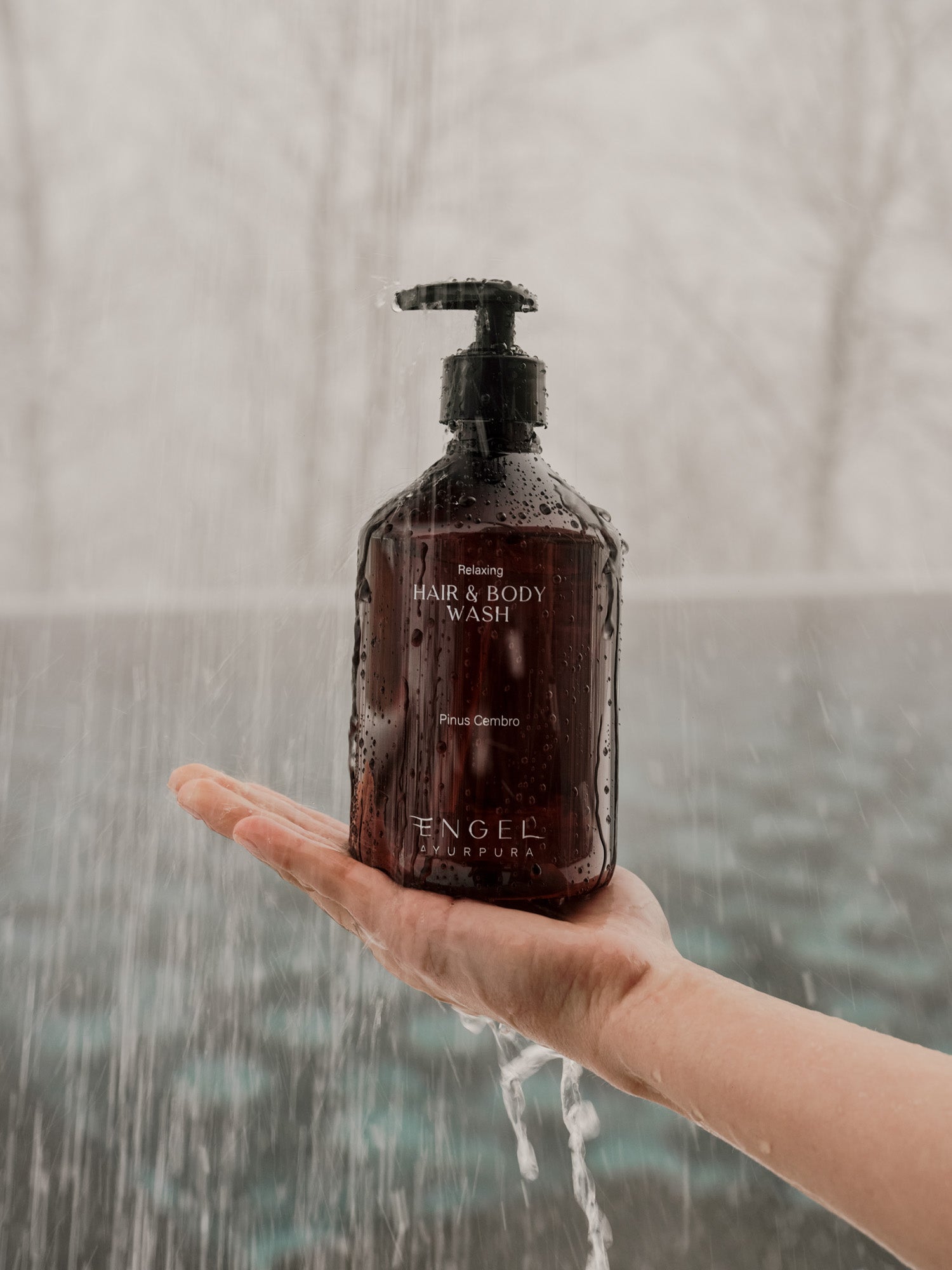 Hair & Body Wash · Pinus Cembra